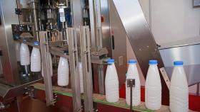 Реализация молока в сельхозорганизациях увеличилась почти на 4%
